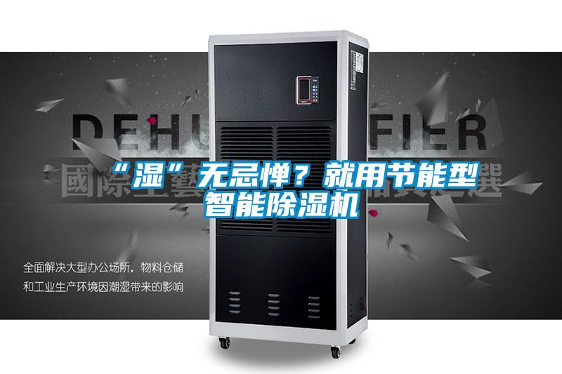 “濕”無忌憚？就用節能型智能除濕機