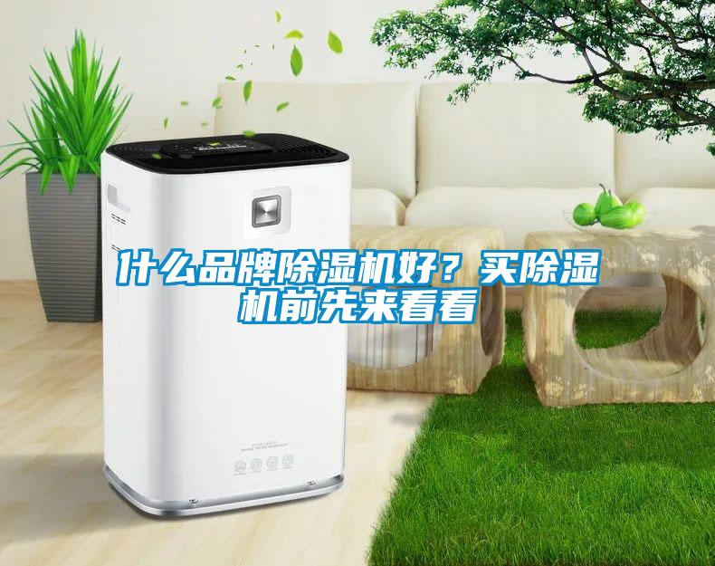 什么品牌除濕機好？買除濕機前先來看看