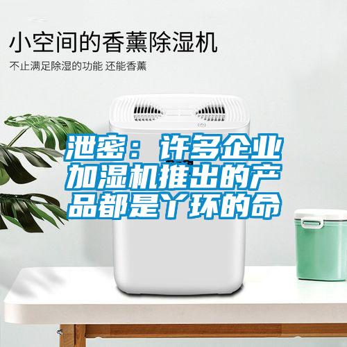 泄密：許多企業加濕機推出的產品都是丫環的命