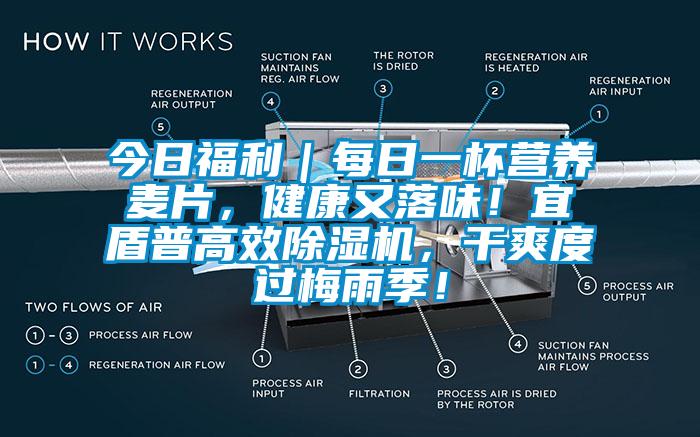 今日福利｜每日一杯營養(yǎng)麥片，健康又落味！宜盾普高效除濕機，干爽度過梅雨季！