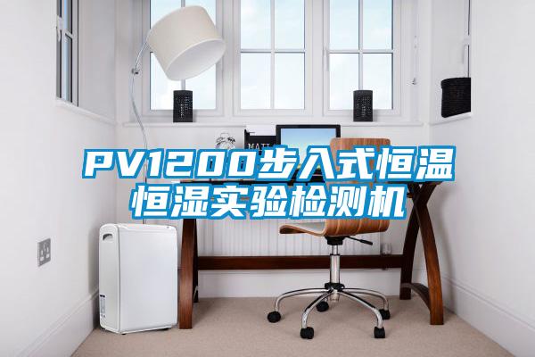 PV1200步入式恒溫恒濕實驗檢測機