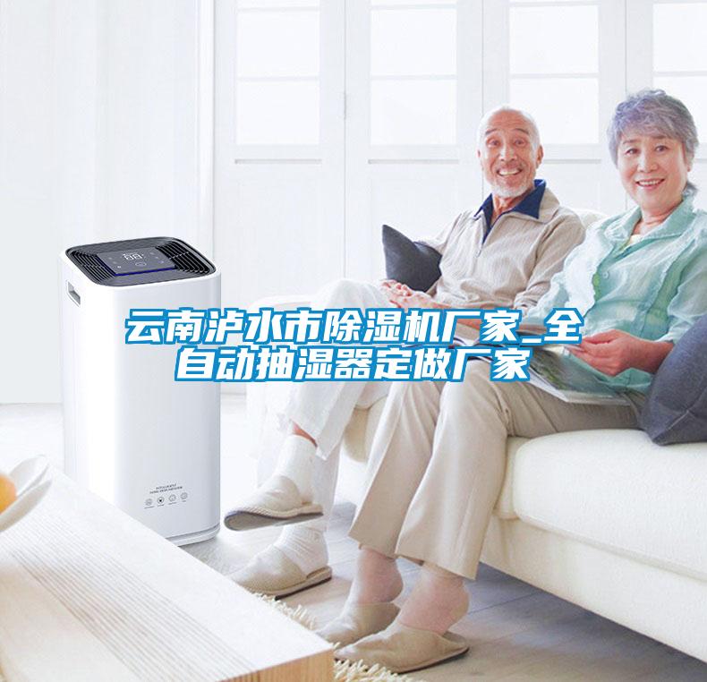 云南瀘水市除濕機廠家_全自動抽濕器定做廠家