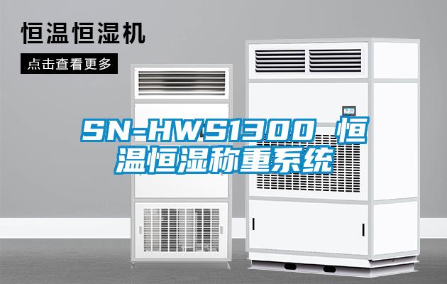 SN-HWS1300 恒溫恒濕稱重系統