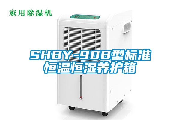 SHBY-90B型標準恒溫恒濕養(yǎng)護箱