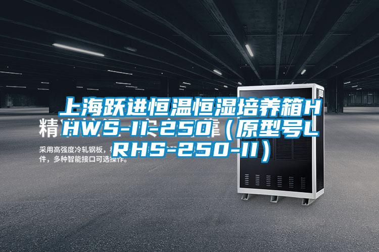 上海躍進恒溫恒濕培養箱HHWS-II-250（原型號LRHS-250-II）