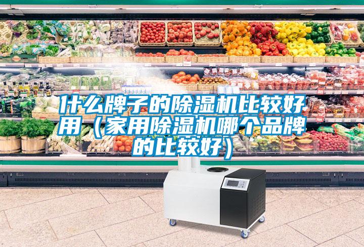 什么牌子的除濕機比較好用（家用除濕機哪個品牌的比較好）