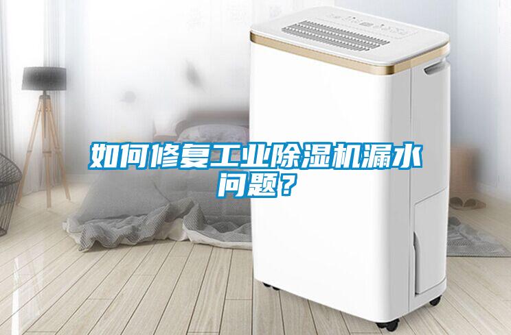 如何修復工業除濕機漏水問題？