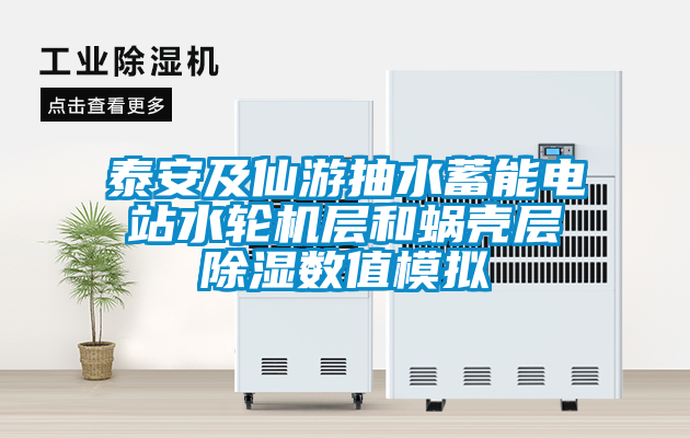 泰安及仙游抽水蓄能電站水輪機層和蝸殼層除濕數值模擬