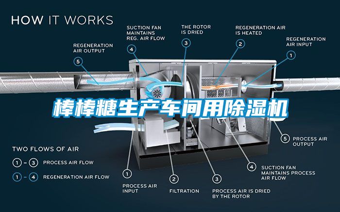 棒棒糖生產(chǎn)車間用除濕機(jī)