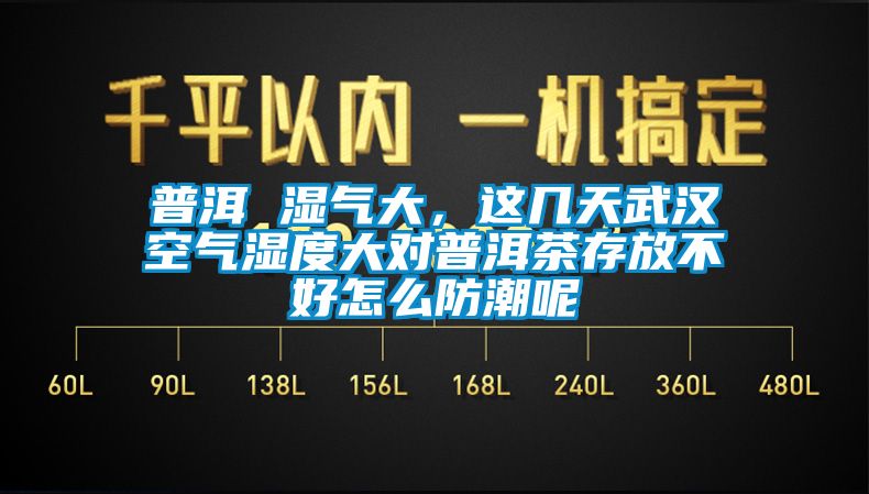 普洱 濕氣大，這幾天武漢空氣濕度大對普洱茶存放不好怎么防潮呢