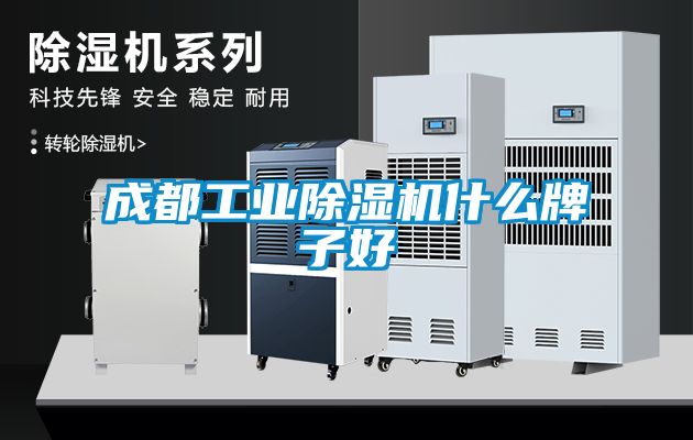 成都工業除濕機什么牌子好