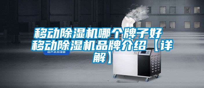 移動除濕機哪個牌子好 移動除濕機品牌介紹【詳解】