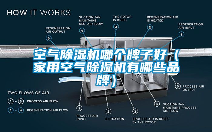 空氣除濕機(jī)哪個牌子好（家用空氣除濕機(jī)有哪些品牌）