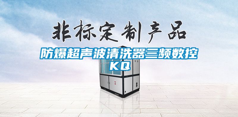 防爆超聲波清洗器三頻數(shù)控KQ