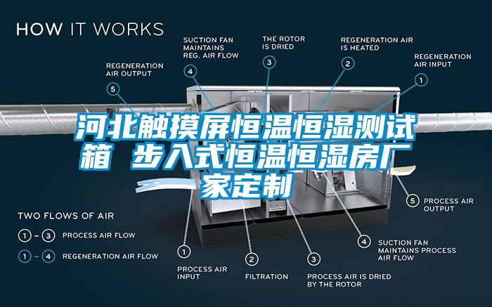 河北觸摸屏恒溫恒濕測(cè)試箱 步入式恒溫恒濕房廠家定制