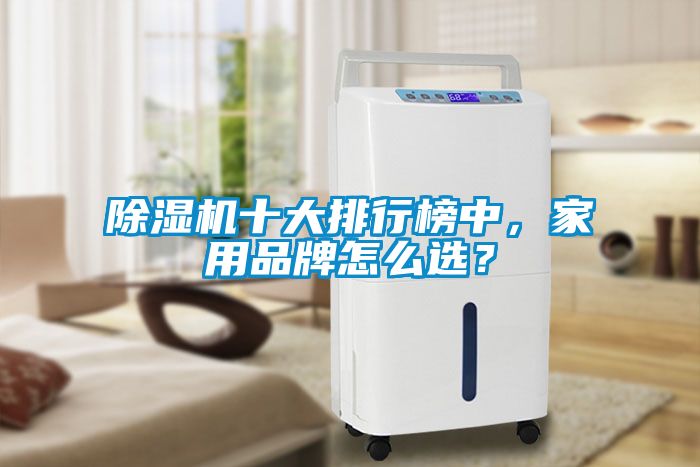 除濕機十大排行榜中，家用品牌怎么選？