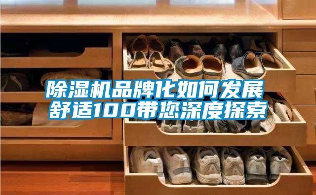 除濕機品牌化如何發展　　舒適100帶您深度探索