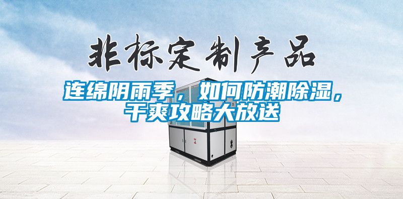 連綿陰雨季，如何防潮除濕，干爽攻略大放送