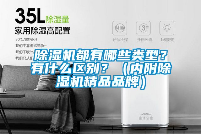 除濕機都有哪些類型？有什么區別？（內附除濕機精品品牌）