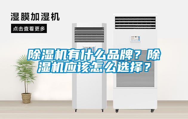 除濕機有什么品牌？除濕機應該怎么選擇？