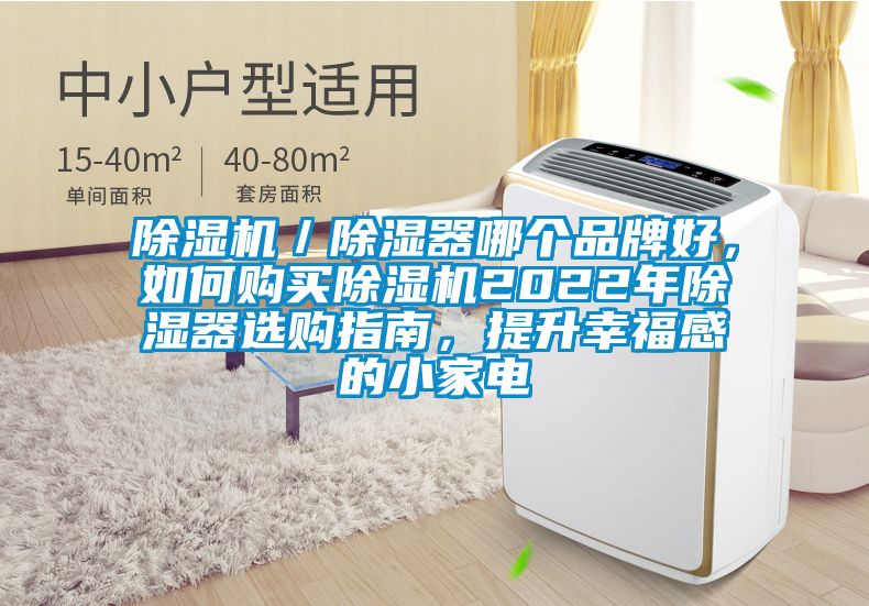 除濕機／除濕器哪個品牌好，如何購買除濕機2022年除濕器選購指南，提升幸福感的小家電